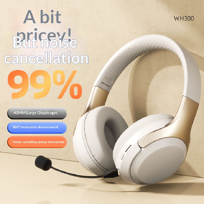 Over Ear Wireless Bluetooth He – Phone Accessories Officeworks recenzja i cena