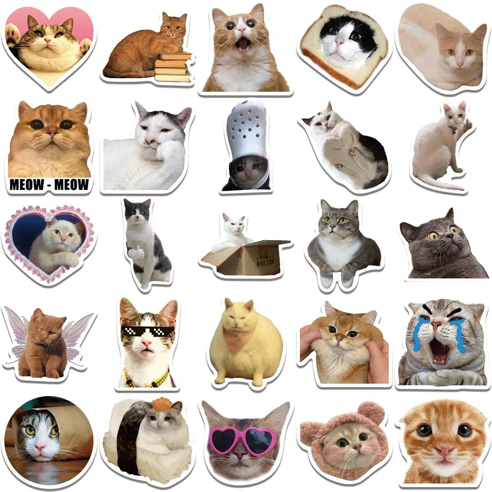 10/30/50Pcs Funny Cute Cat Mem – Phone Accessories For Teens recenzja i cena