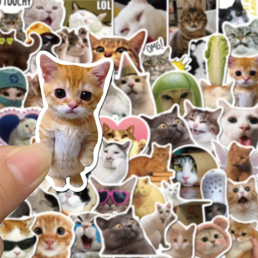 10/30/50Pcs Funny Cute Cat Mem – Phone Accessories For Teens recenzja i cena